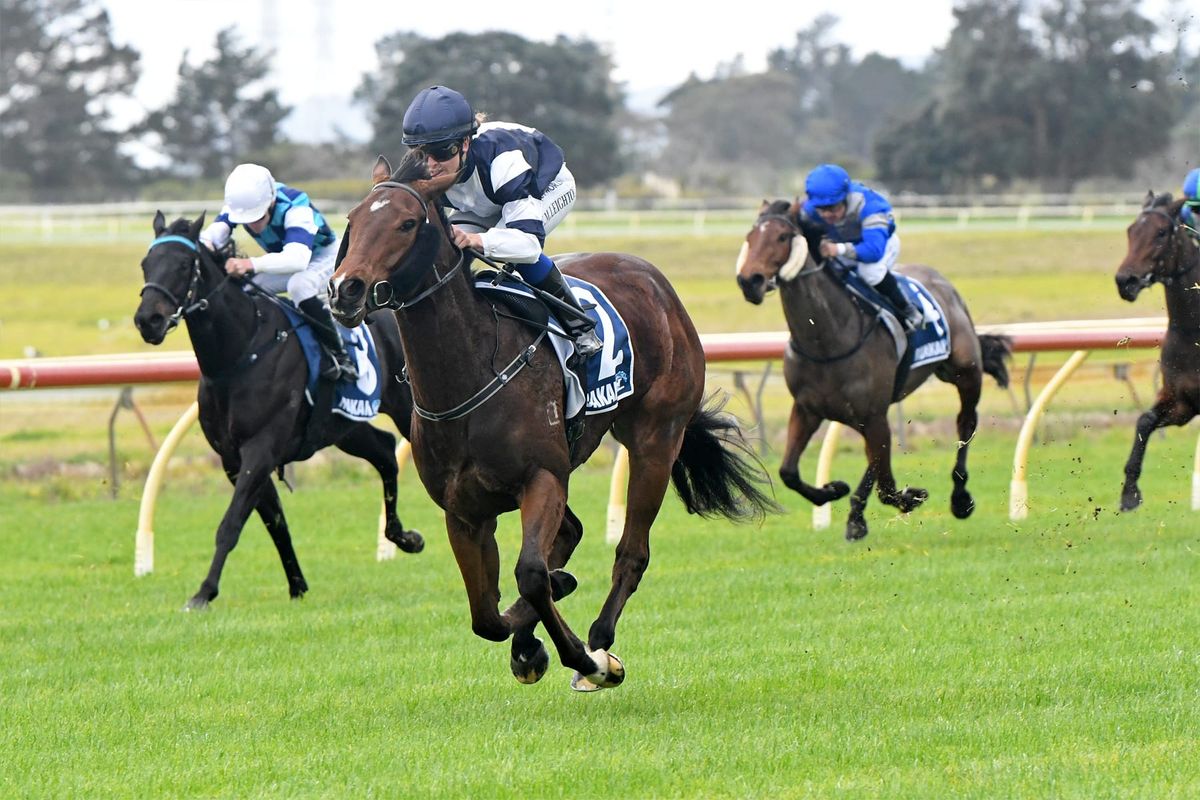 Local gelding scores popular victory at Ruakaka
