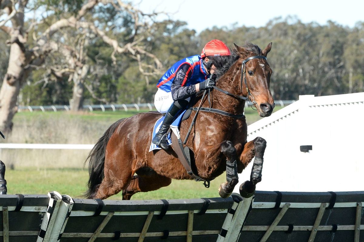 From death's door to jumps triumph