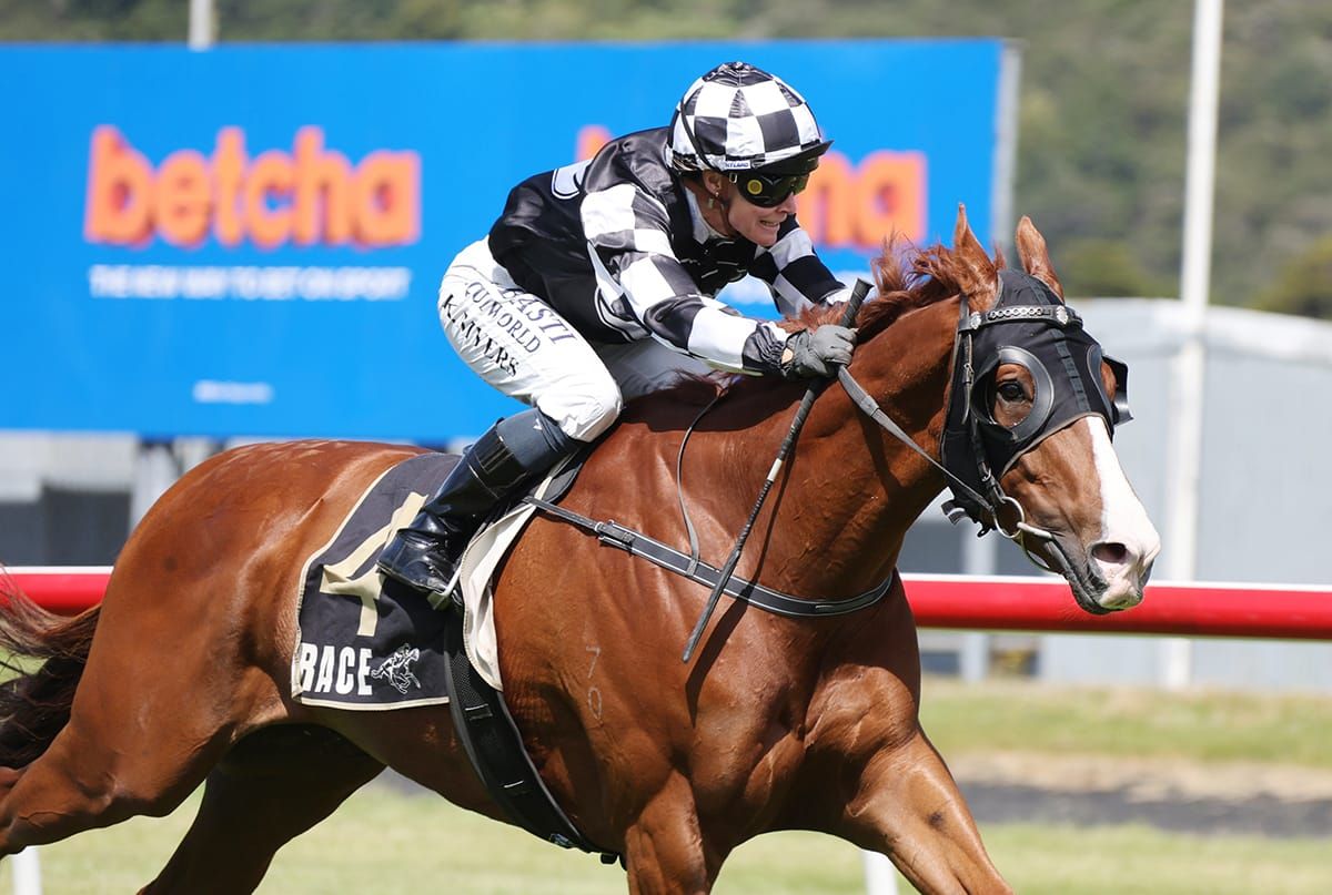 Tisse primed for Taumarunui Gold Cup target