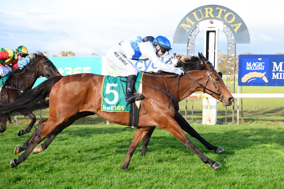 Oaks Stud connection makes Williams' first winner one to savour