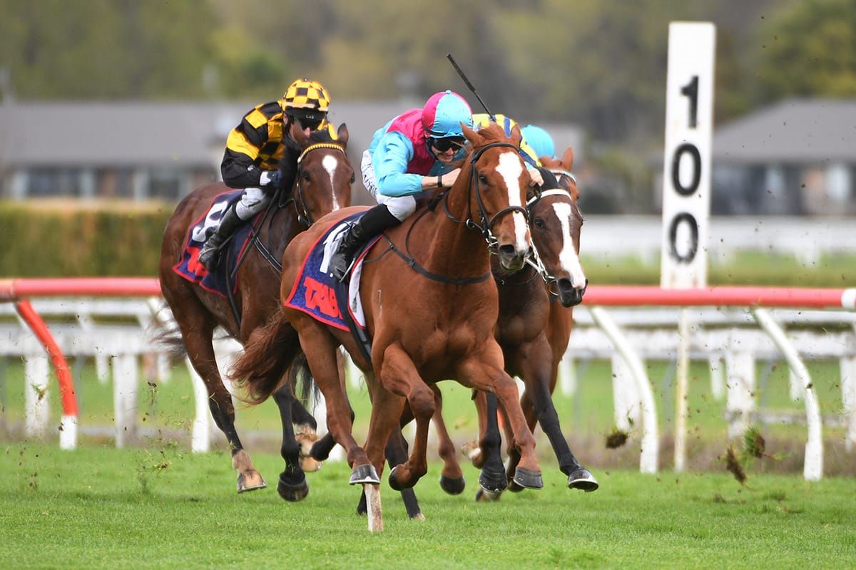 Whiskey ‘N Roses seeking to maintain strong fresh-up record