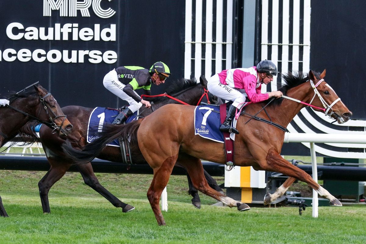 Peters weighs up Cosmic Crusader's options