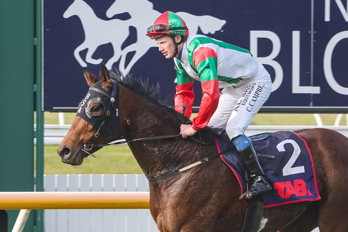 Broodmare career beckons Inflamed