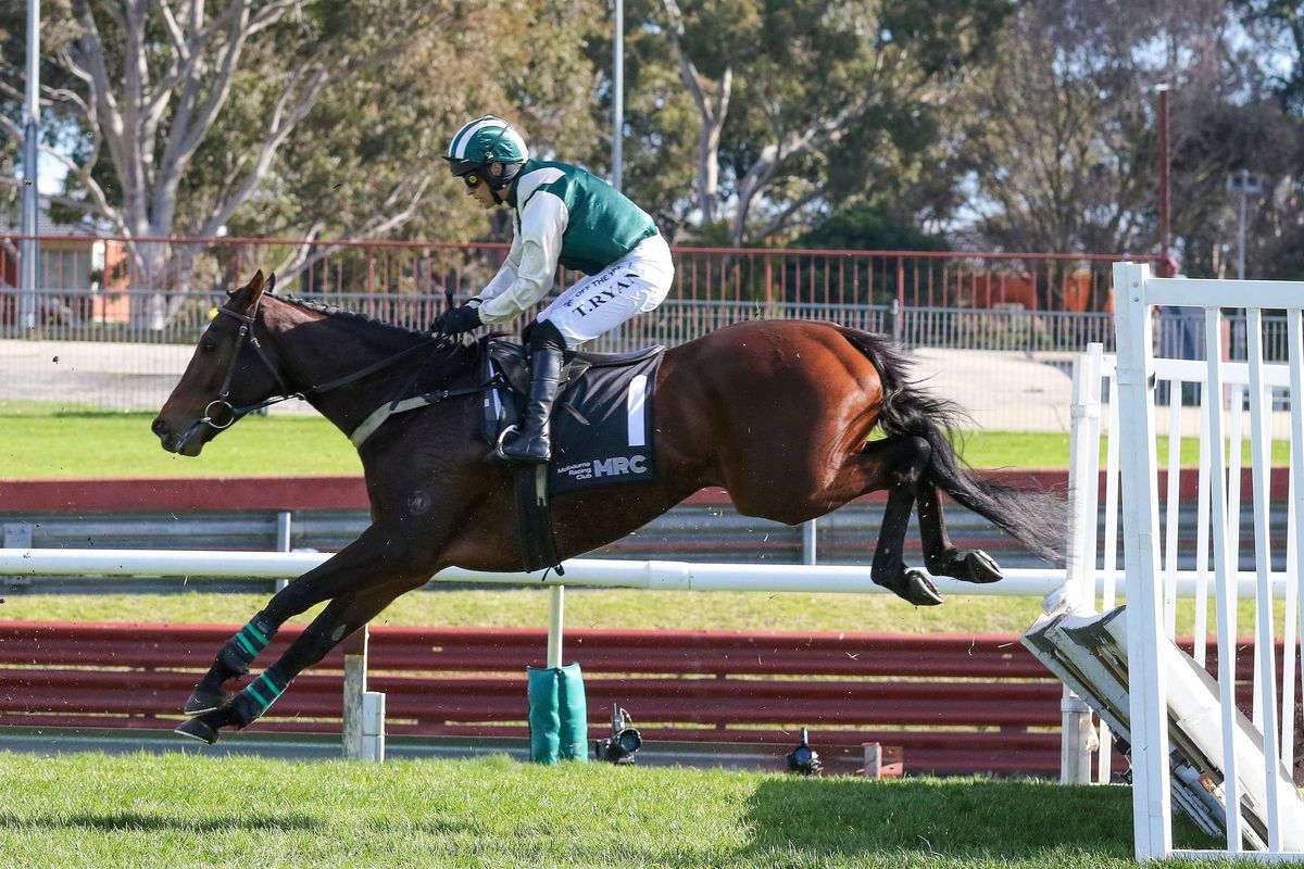 Andy Win toughs out Grand National Hurdle win