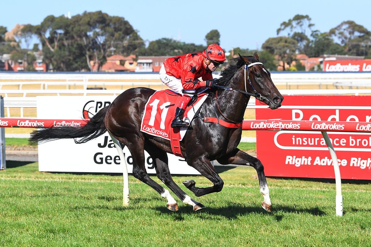 Freedman eyes Sydney features with Asakura