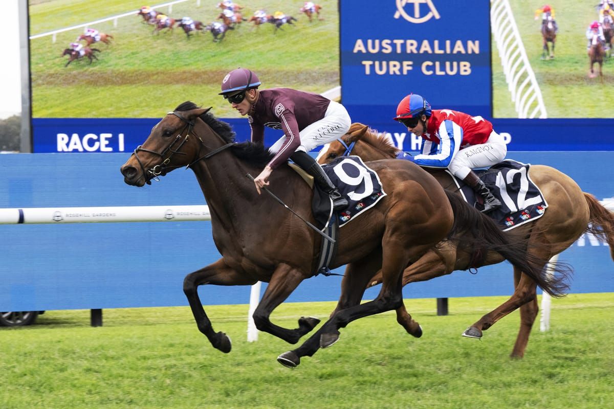 Attractiveness strikes in Sydney’s season opener