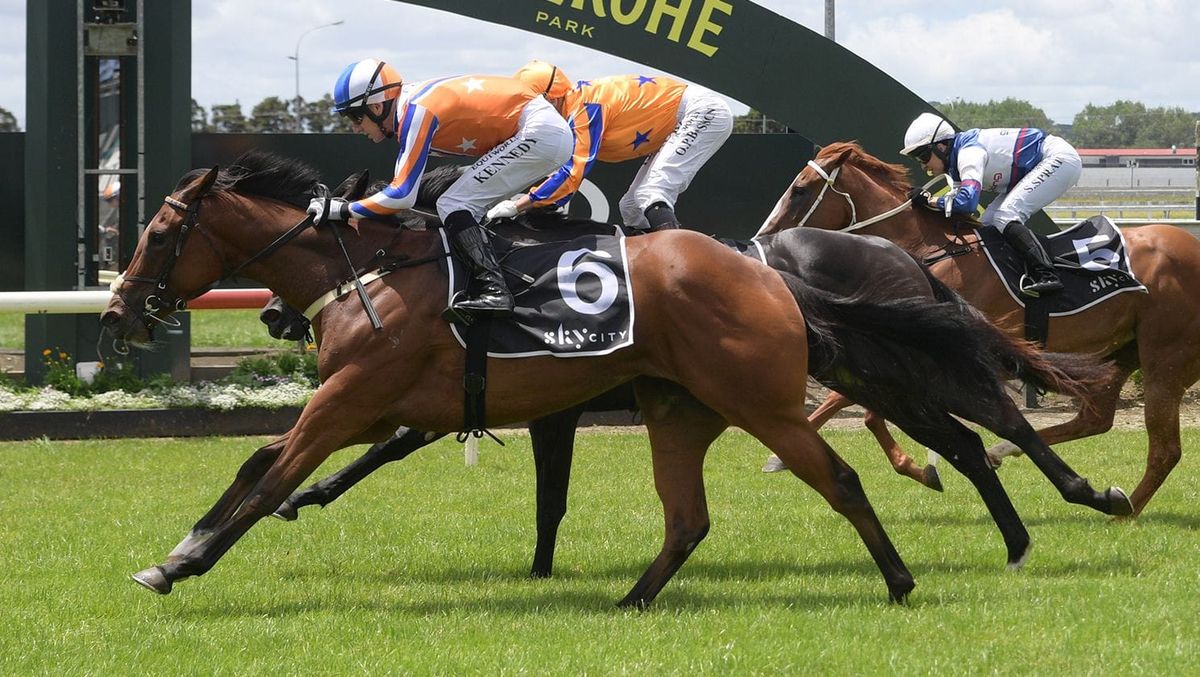 Bellatrix Star retired