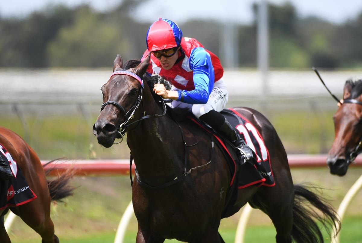 Logan hoping her fillies can snare more black-type