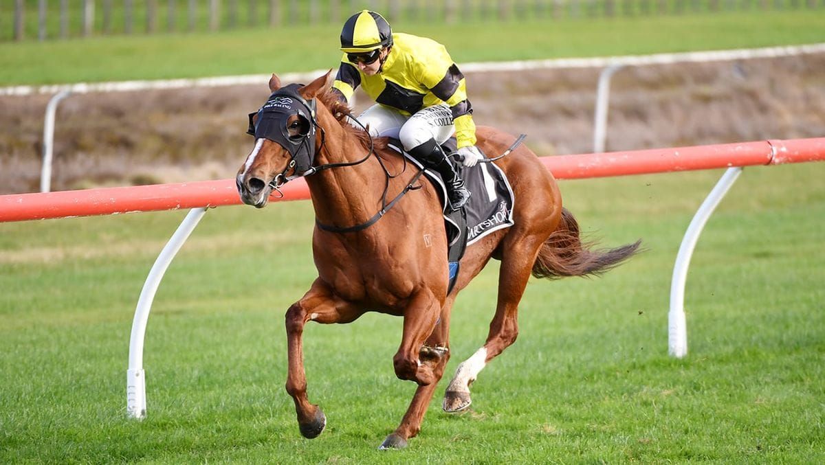Pike has healthy respect for Foxbridge favourite
