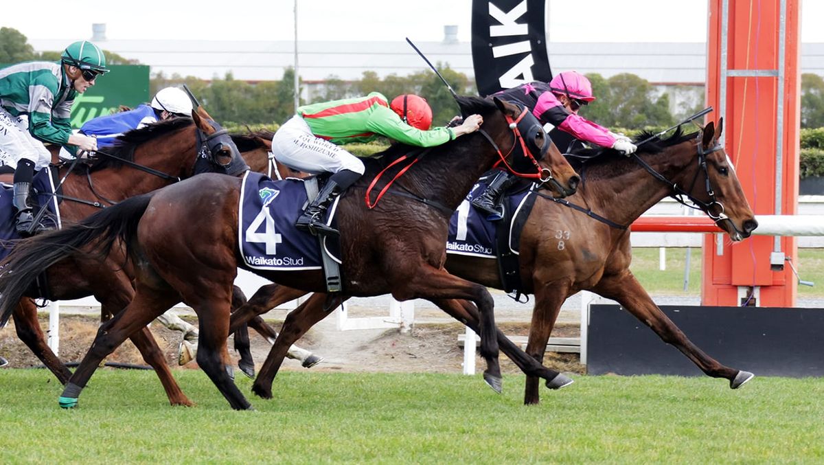 Brosnan scores quickfire double at Te Rapa
