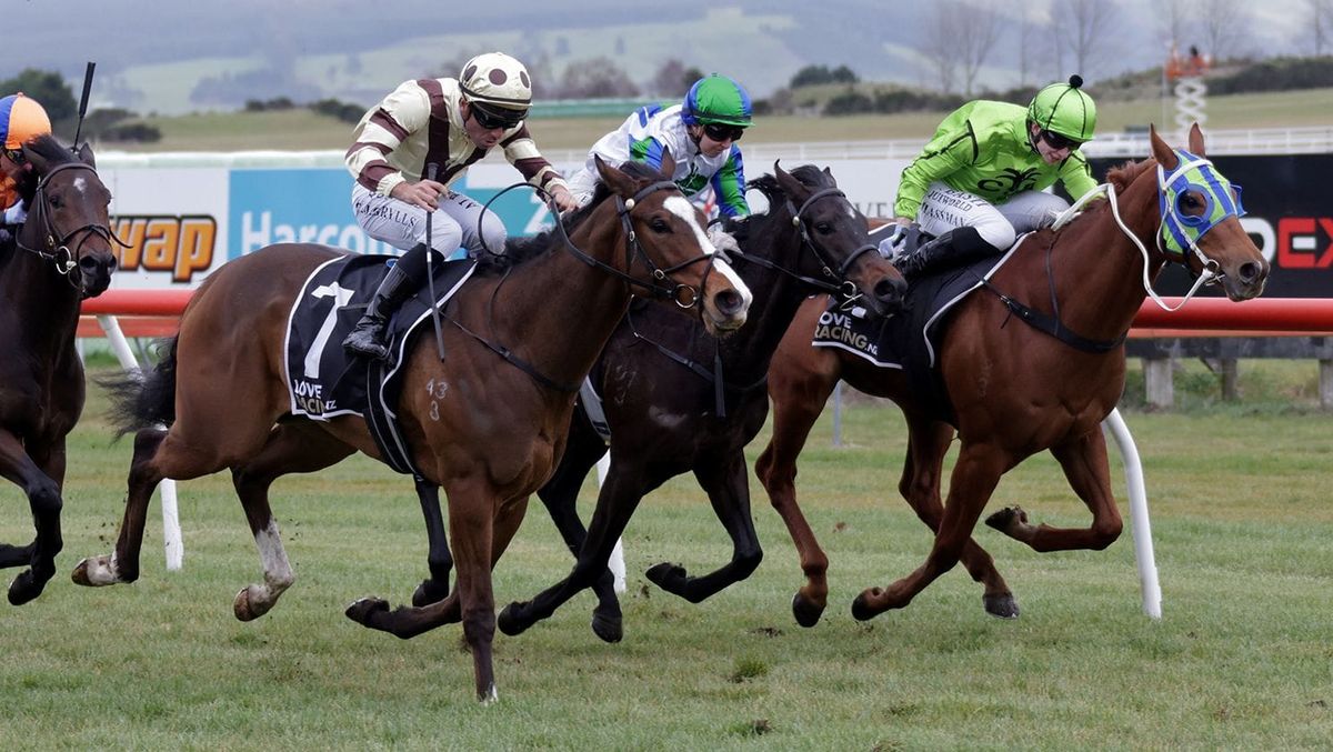 Debutant impresses in smart company at Taupo