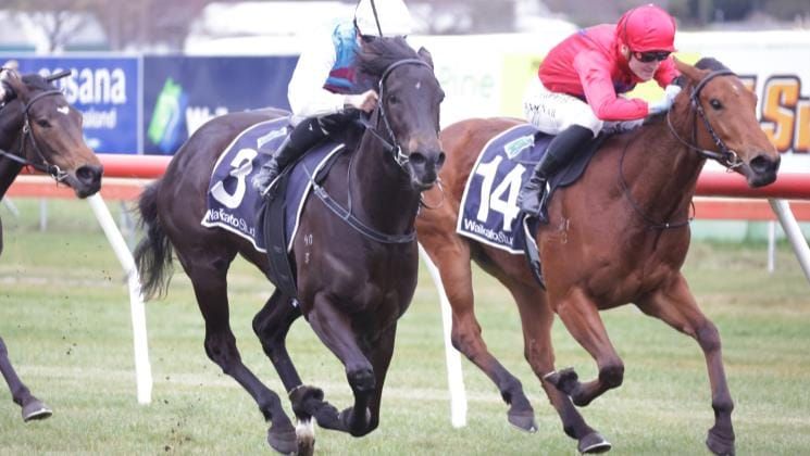 Phillyjean eye-catching in stakes defeat