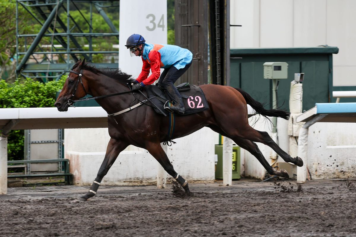 Ka Ying Rising dazzles ahead of return, Fast Network prepares for Japan campaign
