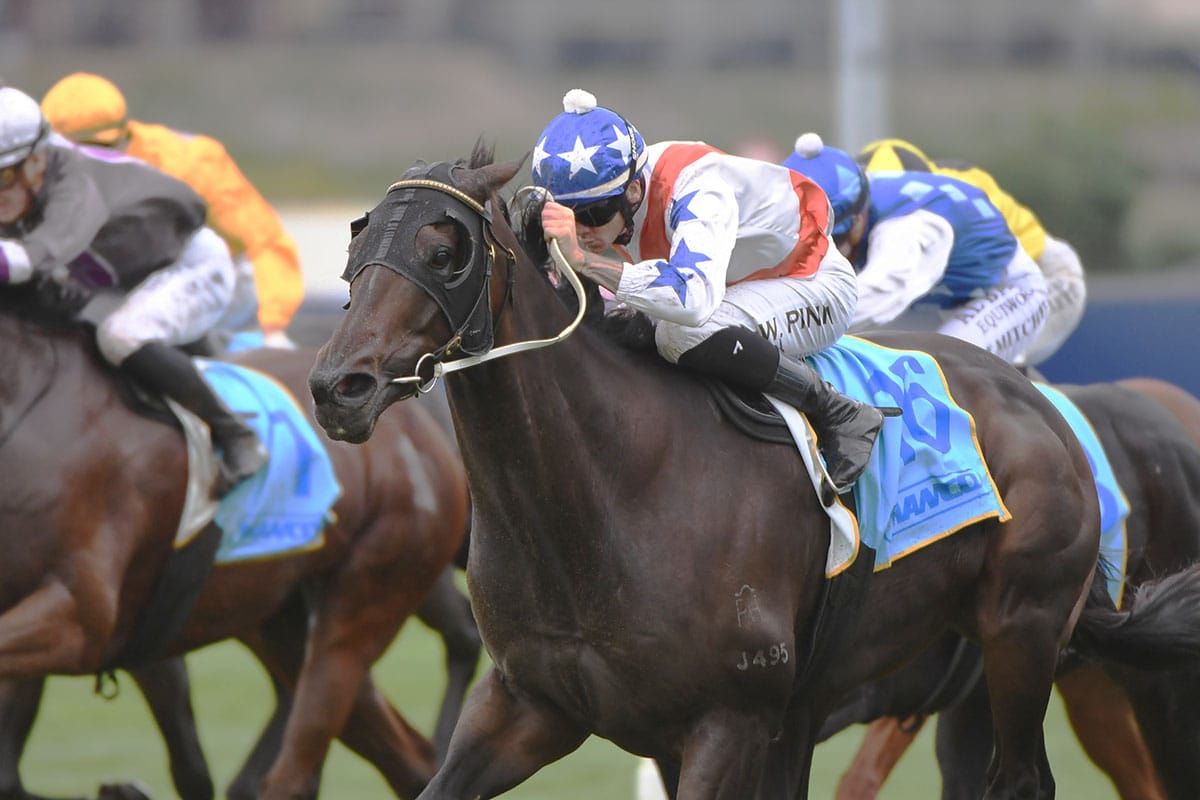 Lupo Solitario on track for elite-level debut