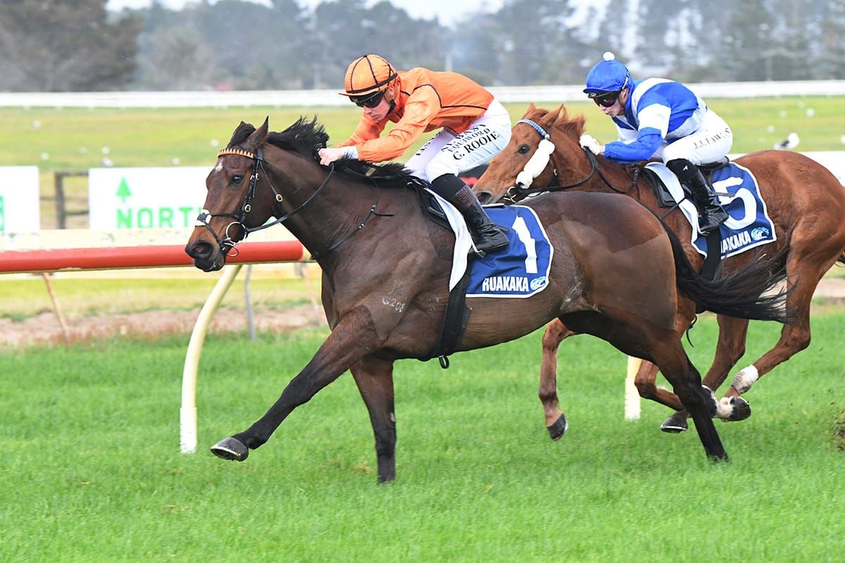 Nicconi County shooting for four straight