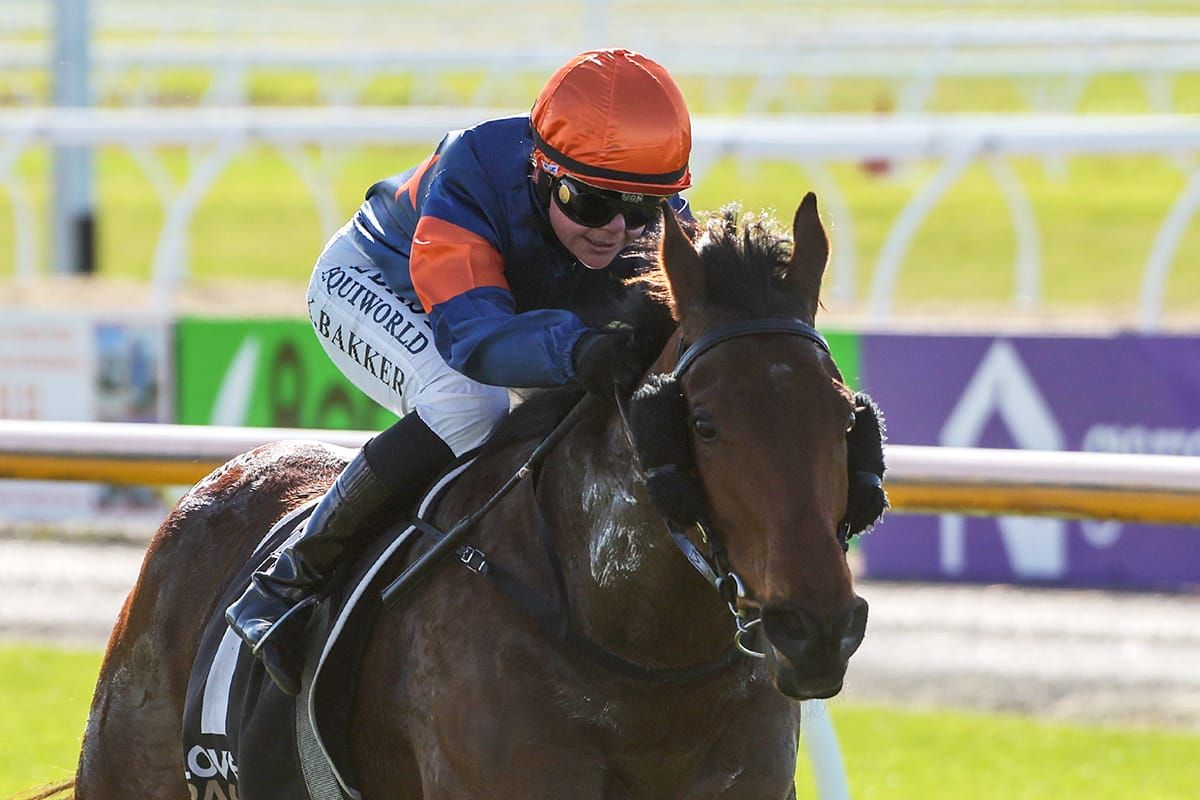 Canterbury Belle next for Outback Girl