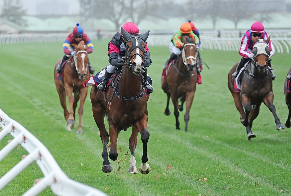 Taupo test awaits promising filly