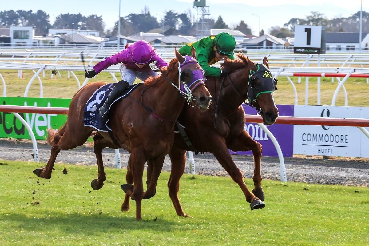 Shawshank gets redemption at Riccarton