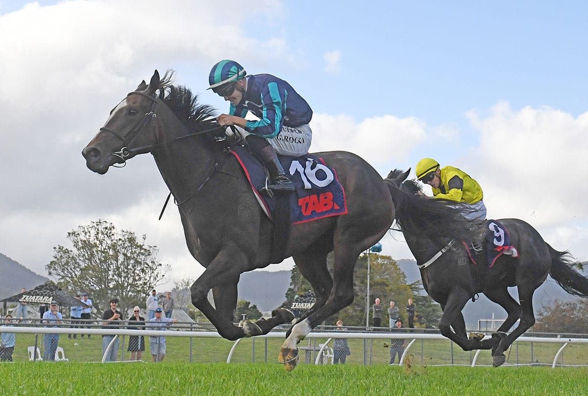 She’s A Dealer on target for Proisir return
