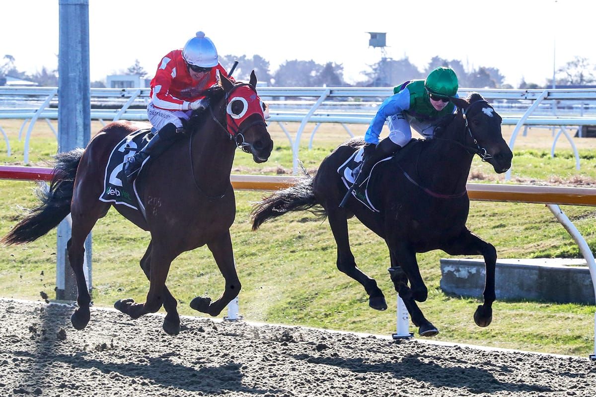 Star Ballot shines at Riccarton