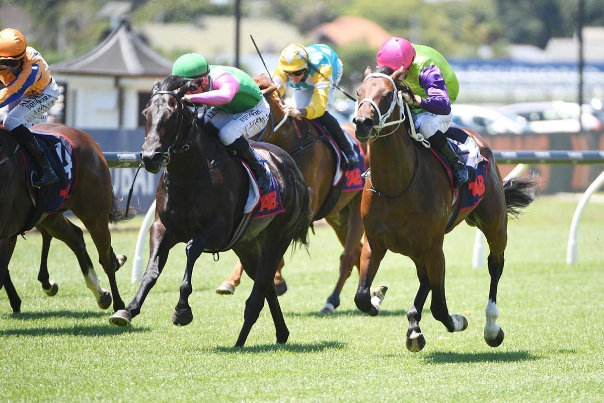 Singletary chasing turnaround in Guineas