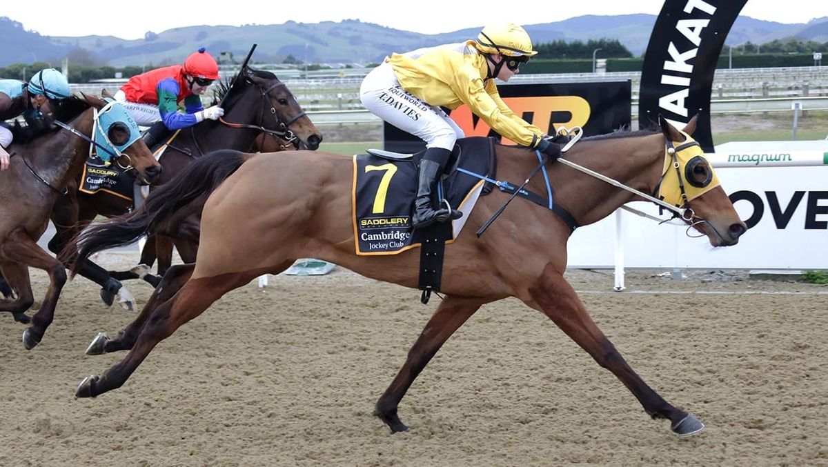 CD raider claims Cambridge spoils