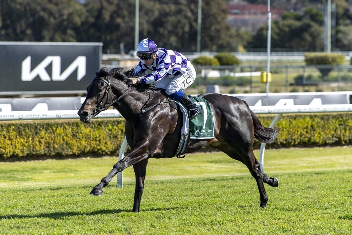 Savagram set for stakes test at Rosehill