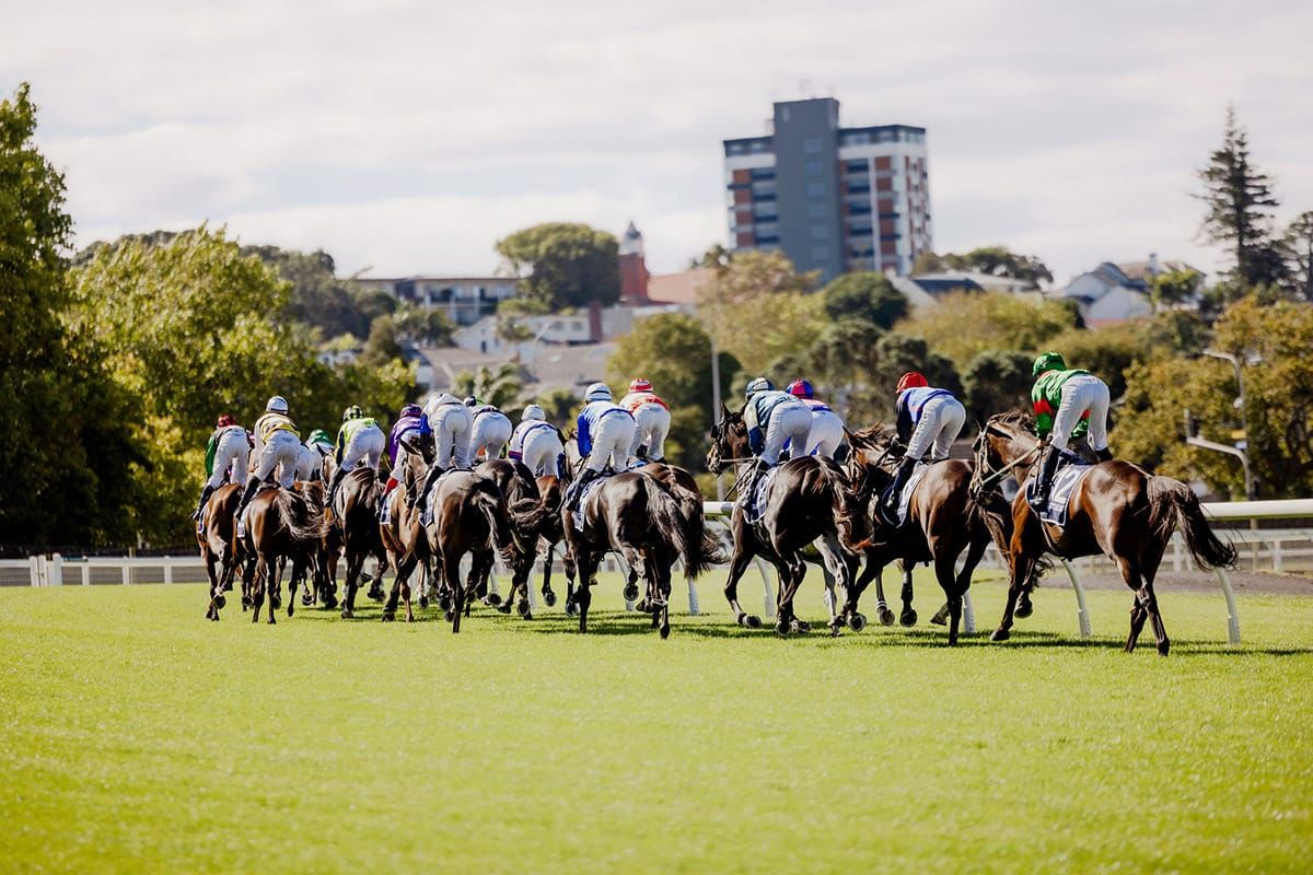 Minimum stakes protected in revised NZTR programme