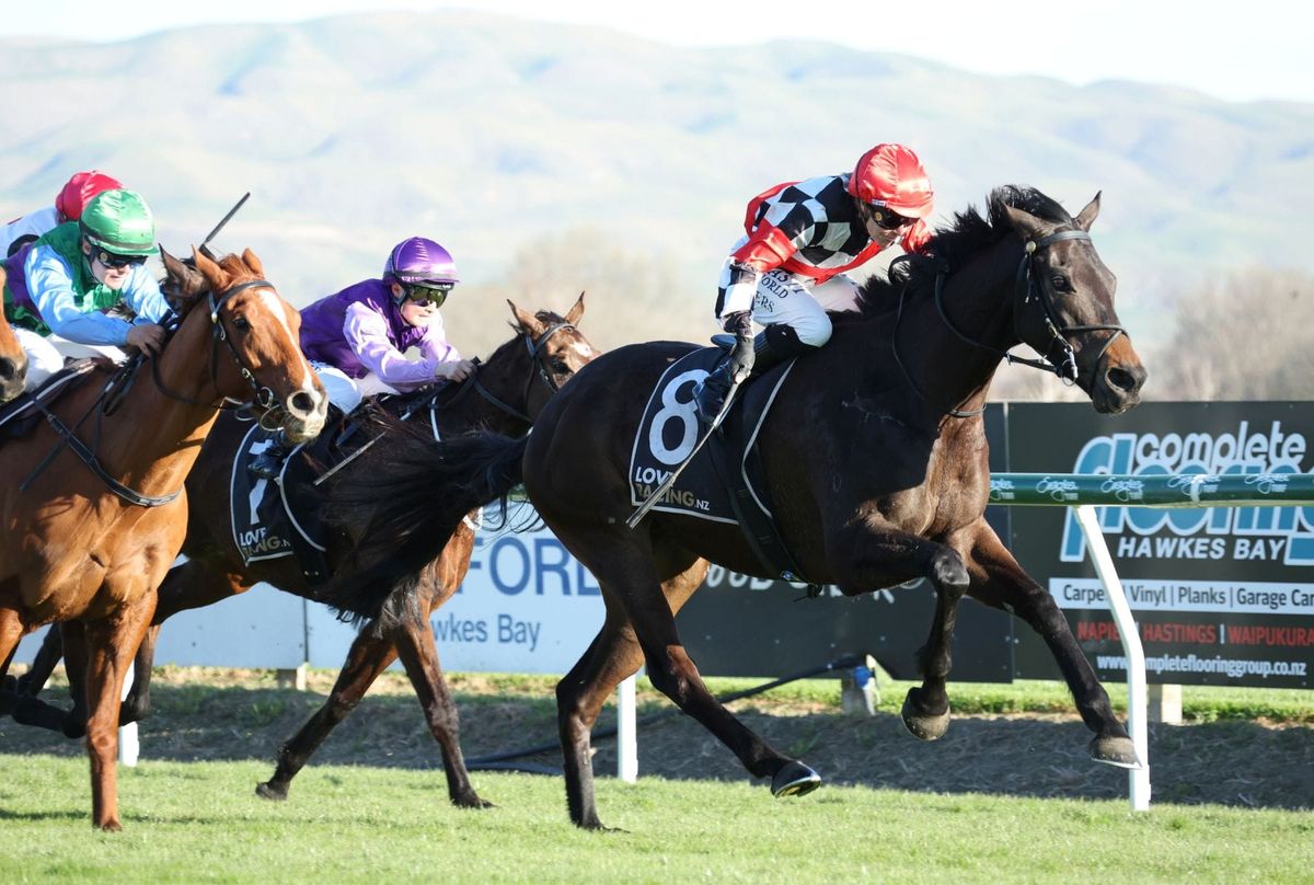 Local trainers glad to be racing back at Hastings