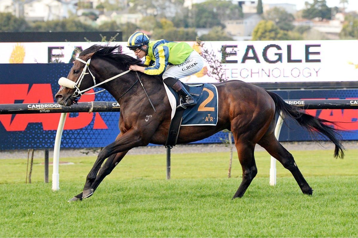Marsh stablemates in zone for Foxbridge