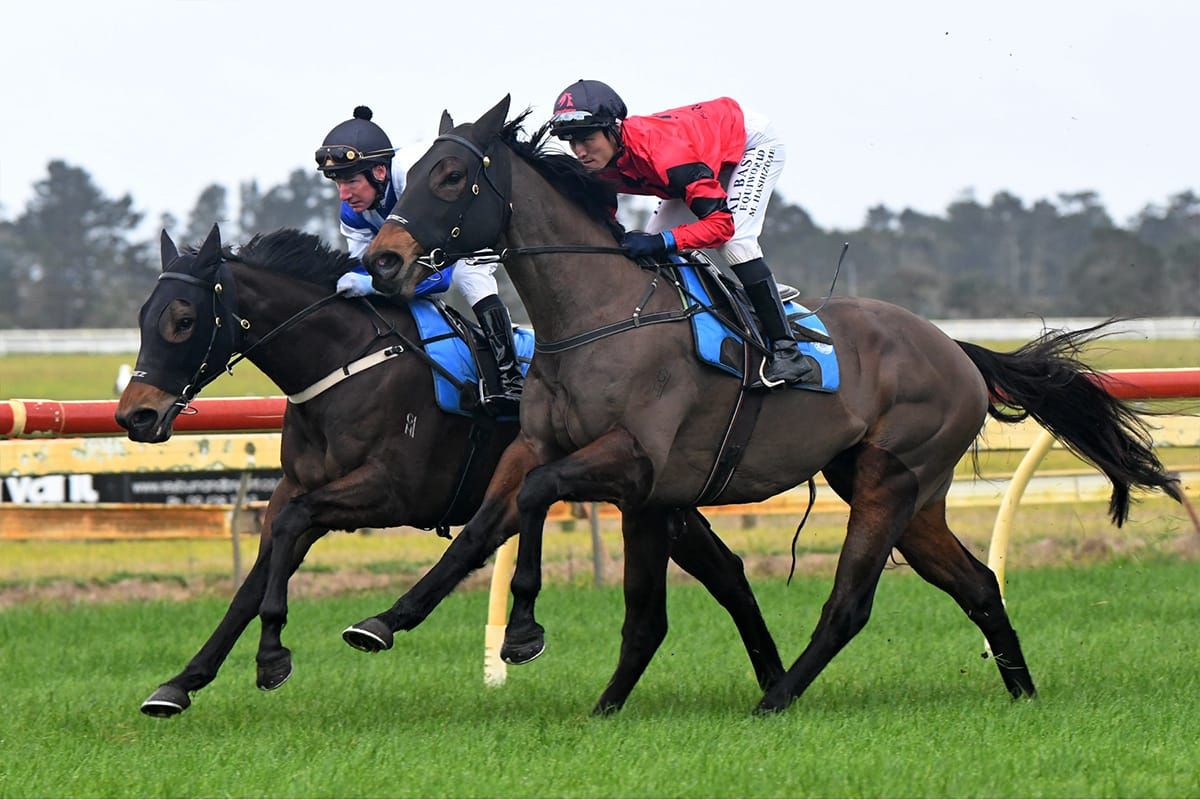 Clotworthy trio please in Ruakaka trial