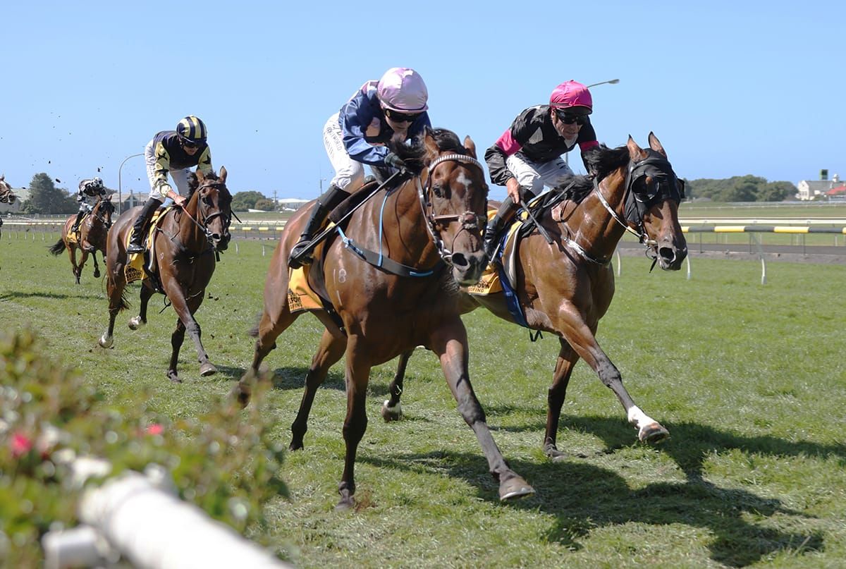 Southern sojourn to continue for Wire Rope