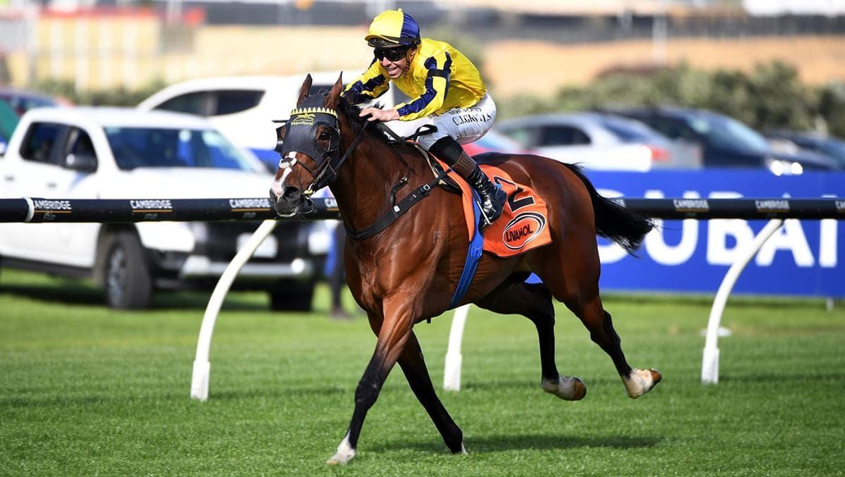 Livamol Classic and NZ 2000 Guineas retain Group One status