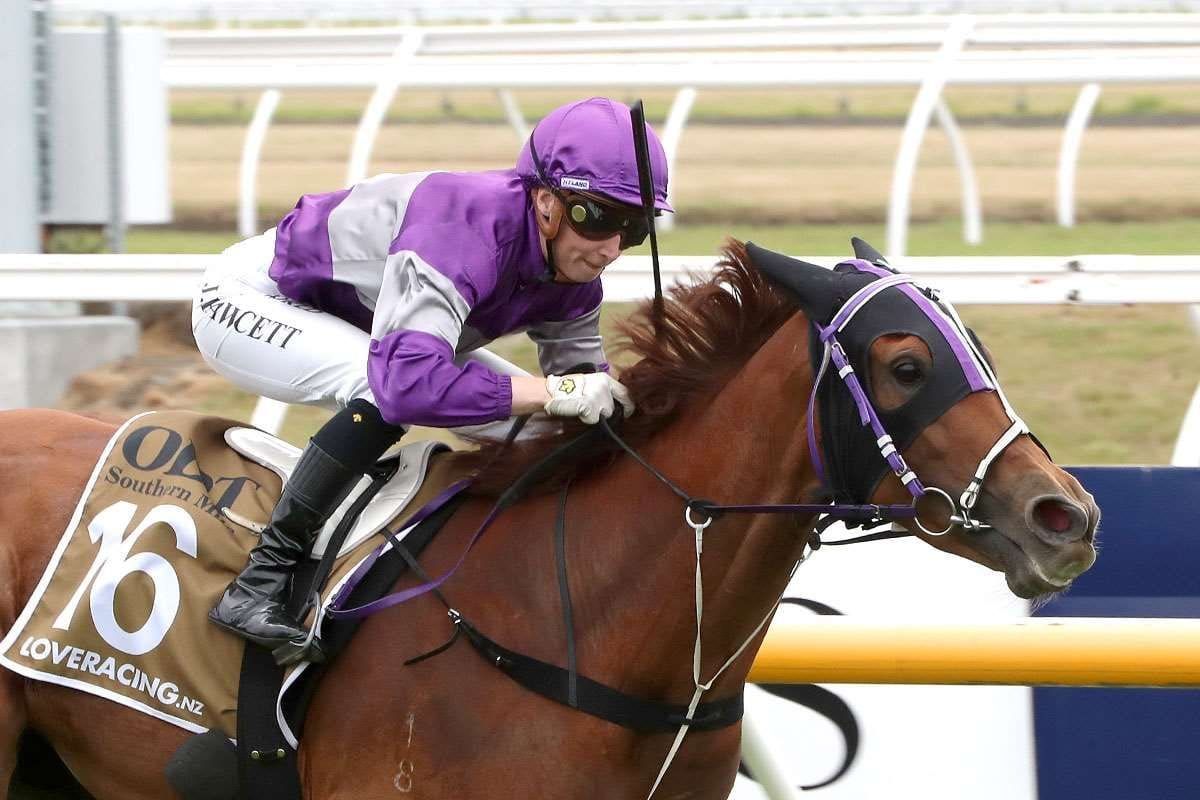 Ears Back offered as broodmare prospect