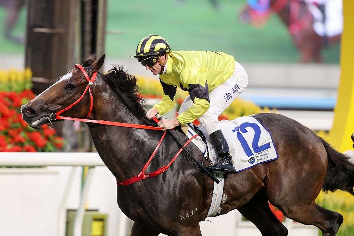 New Zealand bred and sourced horses dominate at Hong Kong meeting