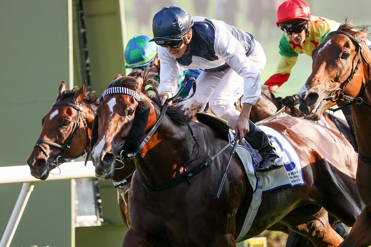 Invincible Ibis soars on Sha Tin return