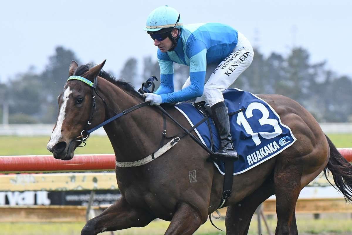 Guineas hope Shalabiya cruises in Ellerslie trial