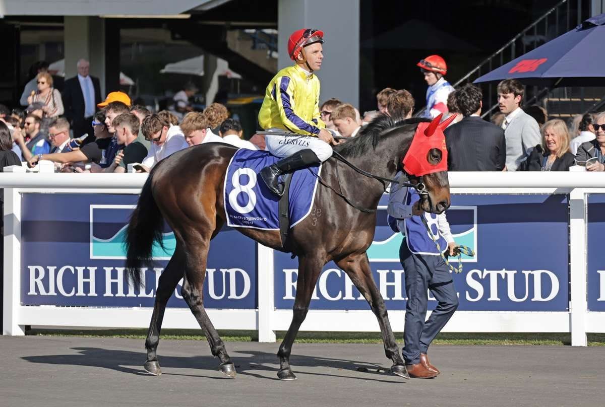 Gold Trail next step for Wexford fillies