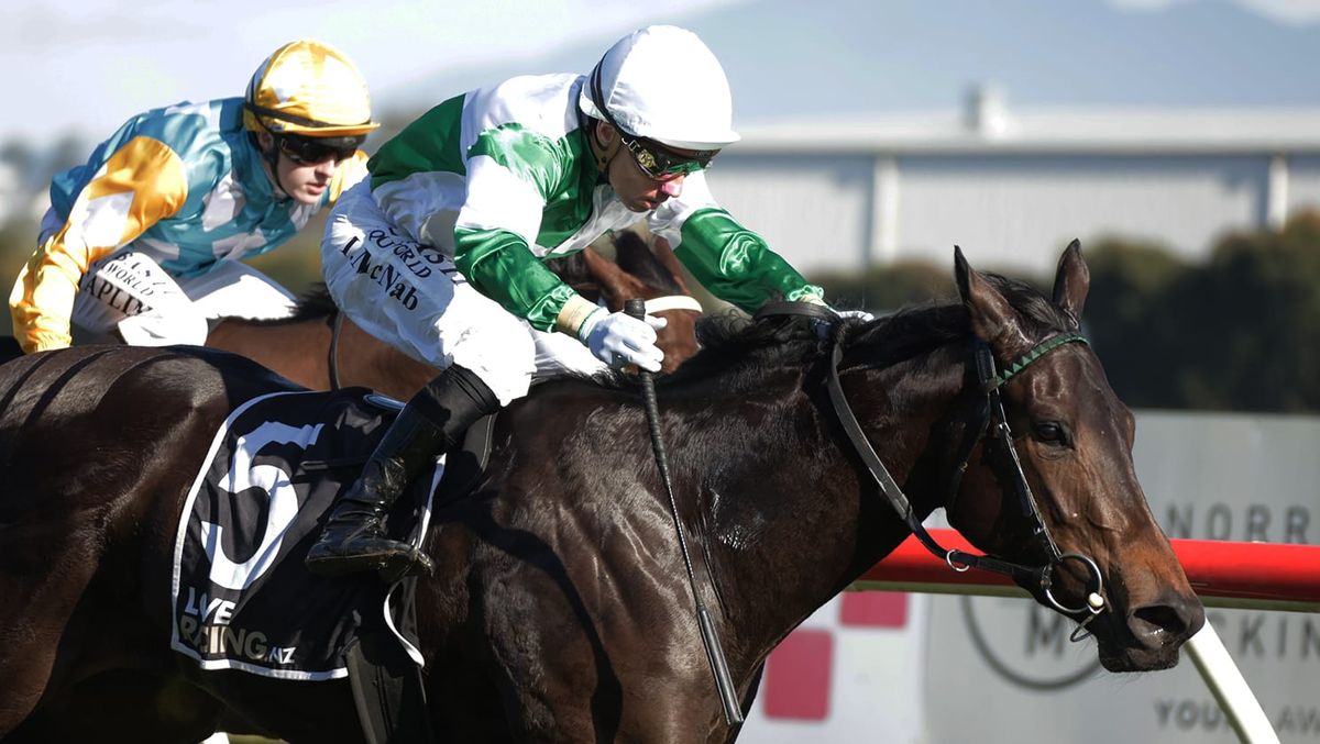 Unbeaten Kiwi mare turns heads at Flemington