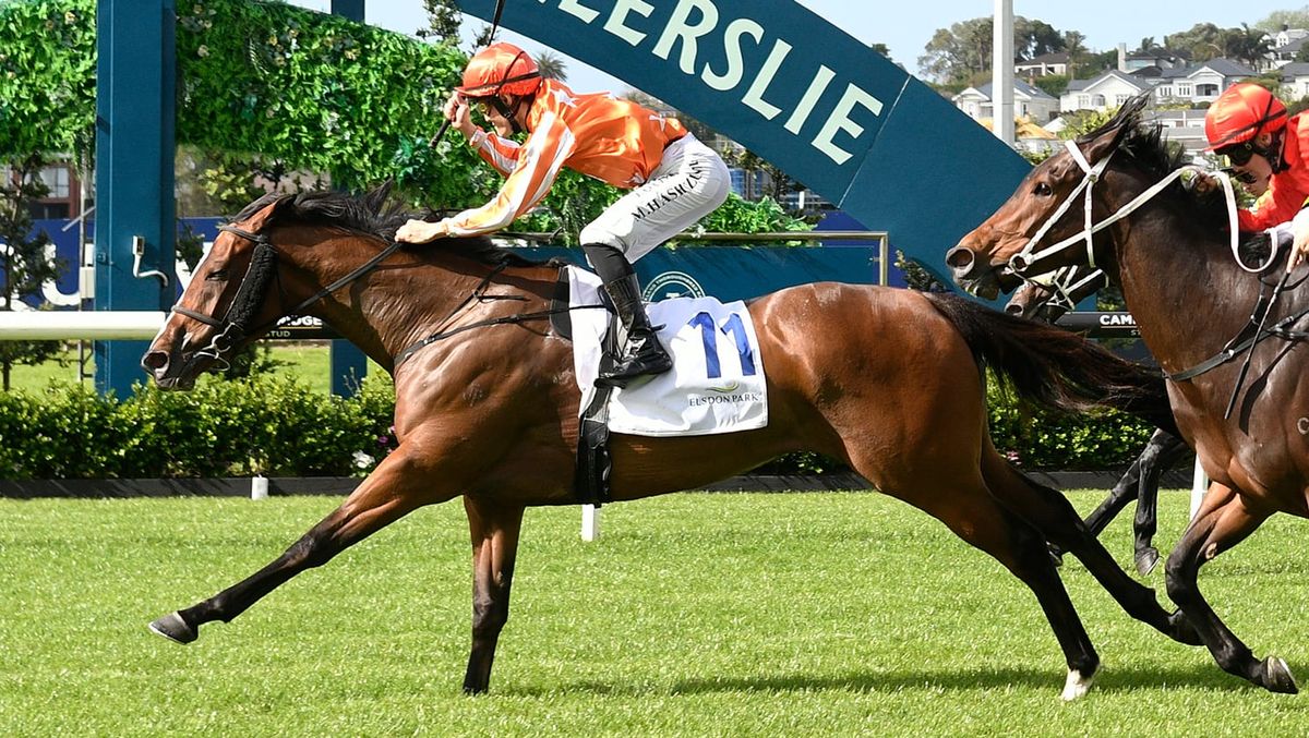 Arabian Songbird resumes at favourite track
