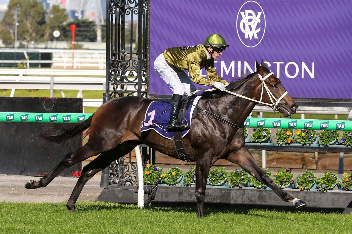 Blind Raise ready to show his hand at Sandown