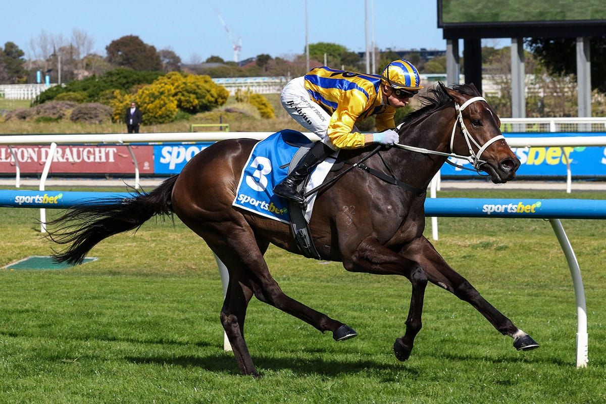 Blind Raise makes statement in Caulfield Guineas Prelude