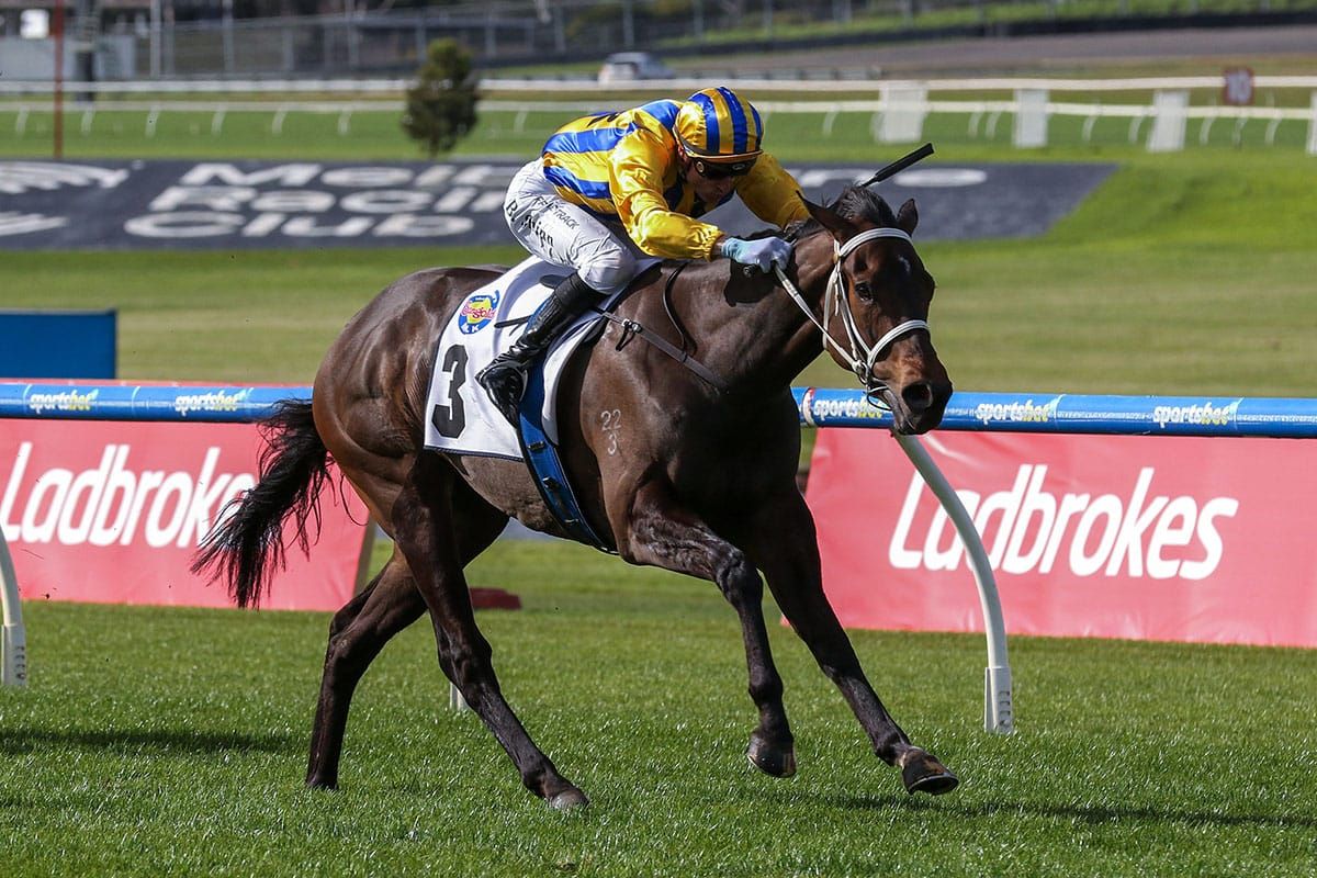 Blind Raise strikes in McKenzie Stakes
