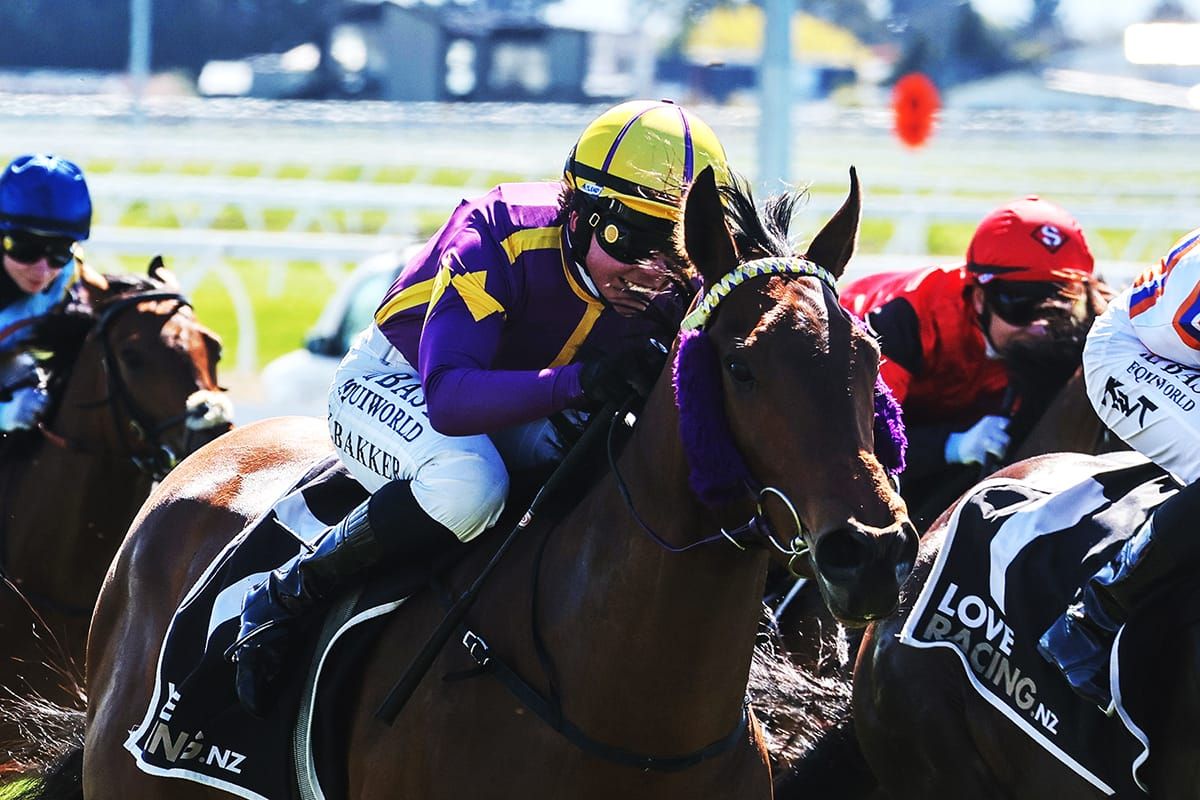 Barneswood Farm Stakes next for exciting filly