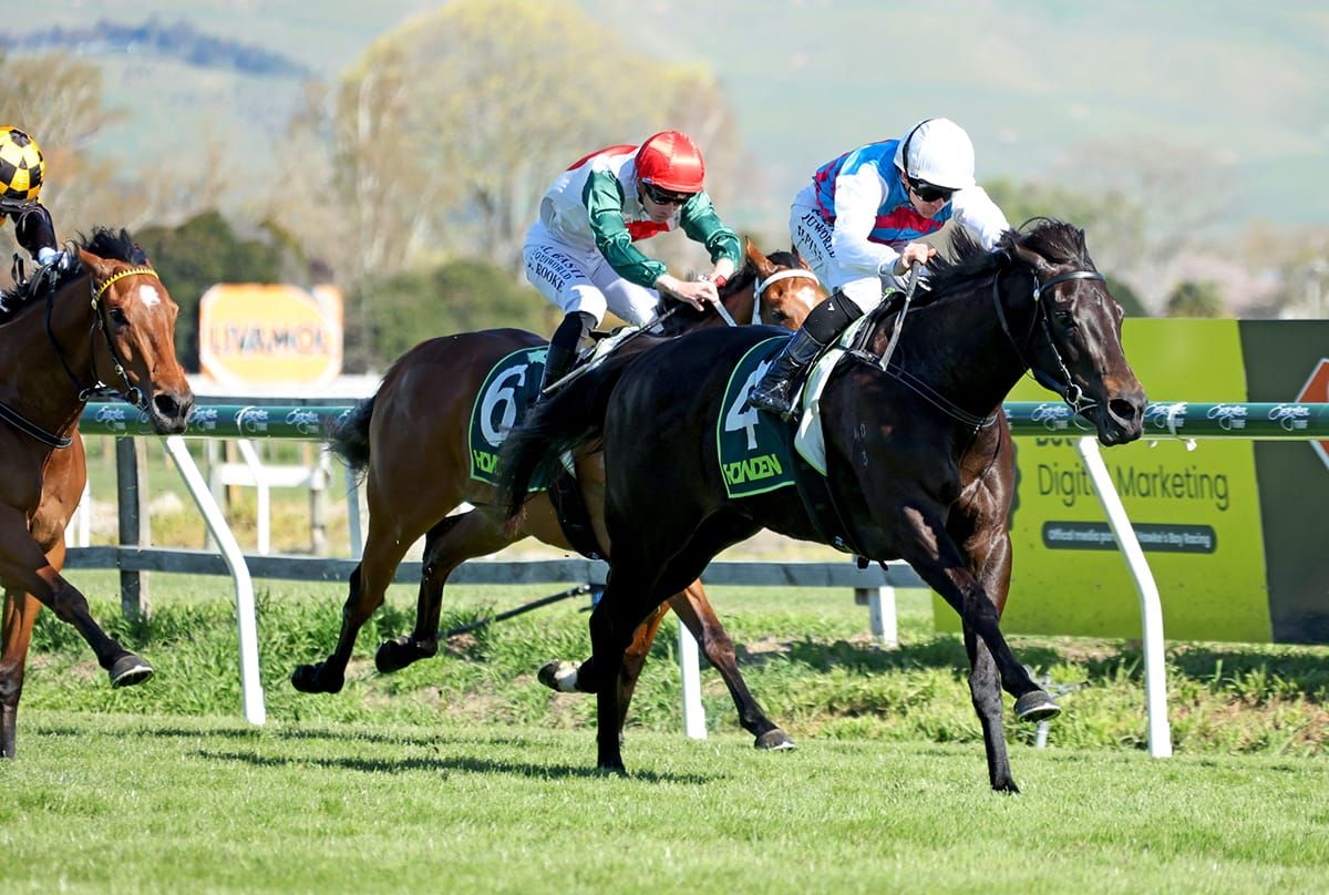 Hawea downs quality field in Gold Trail Stakes