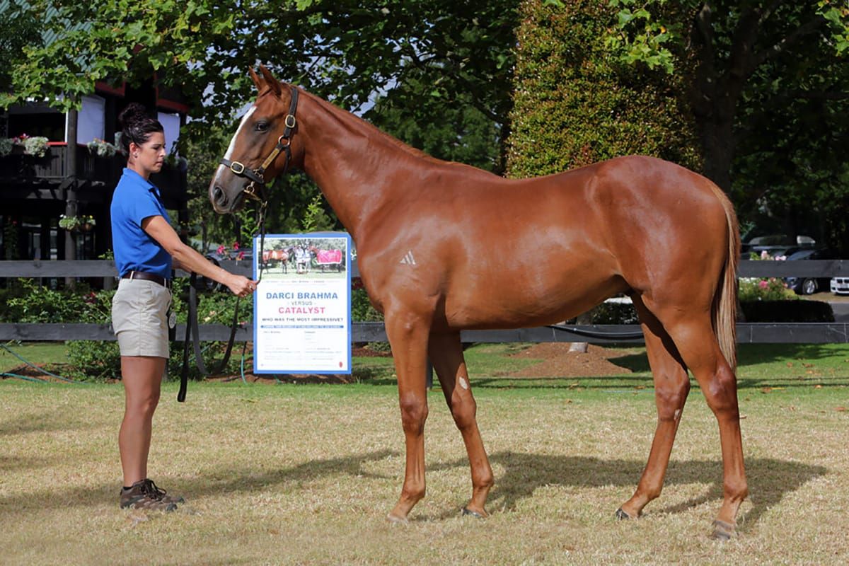Trainer and jockey aiming for a change of luck