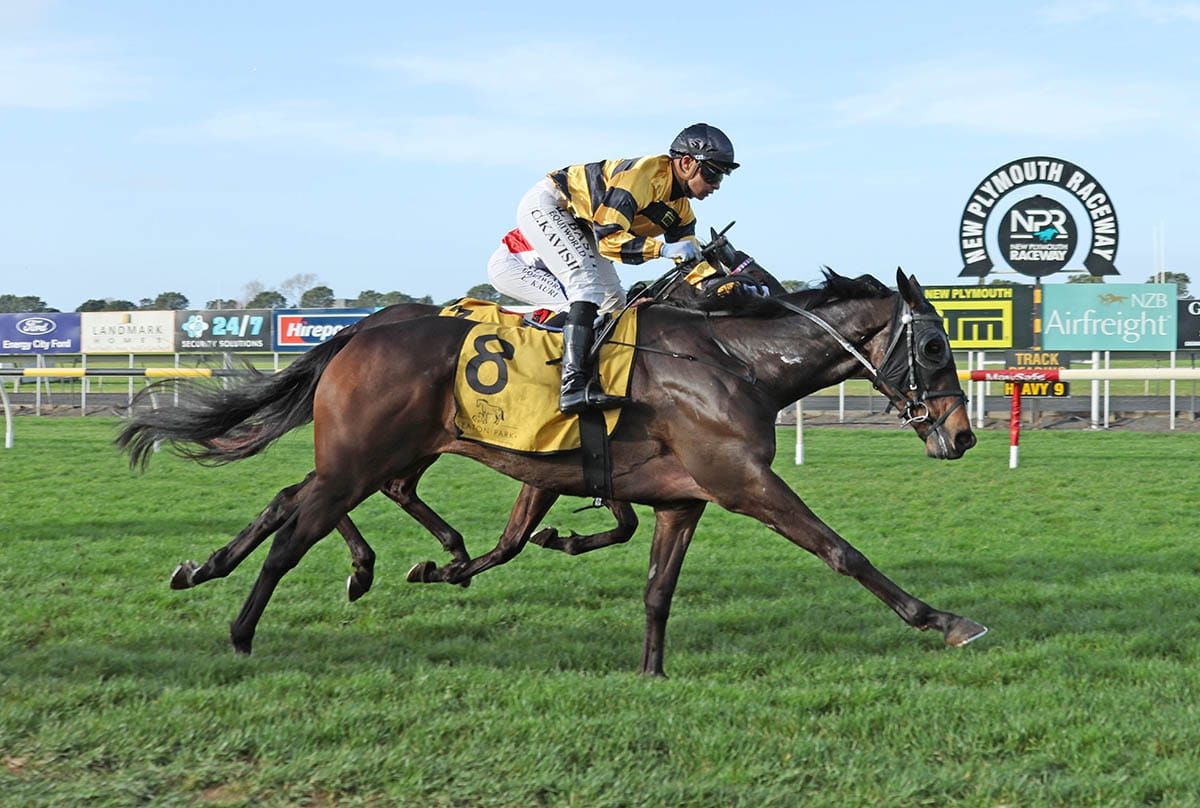 Local victory in New Plymouth Interprovincial