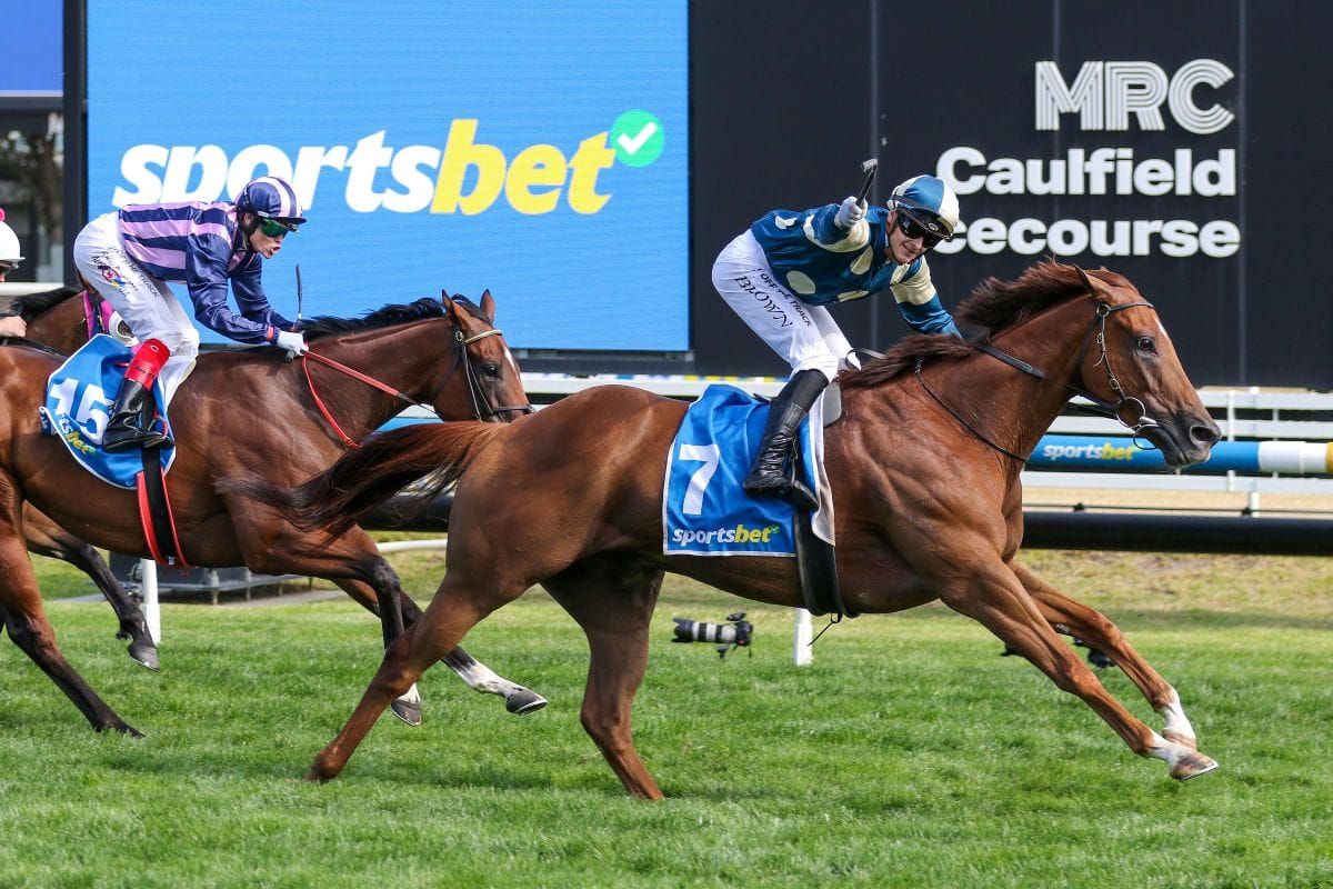 Blinkers first time for Jimmy in Manikato