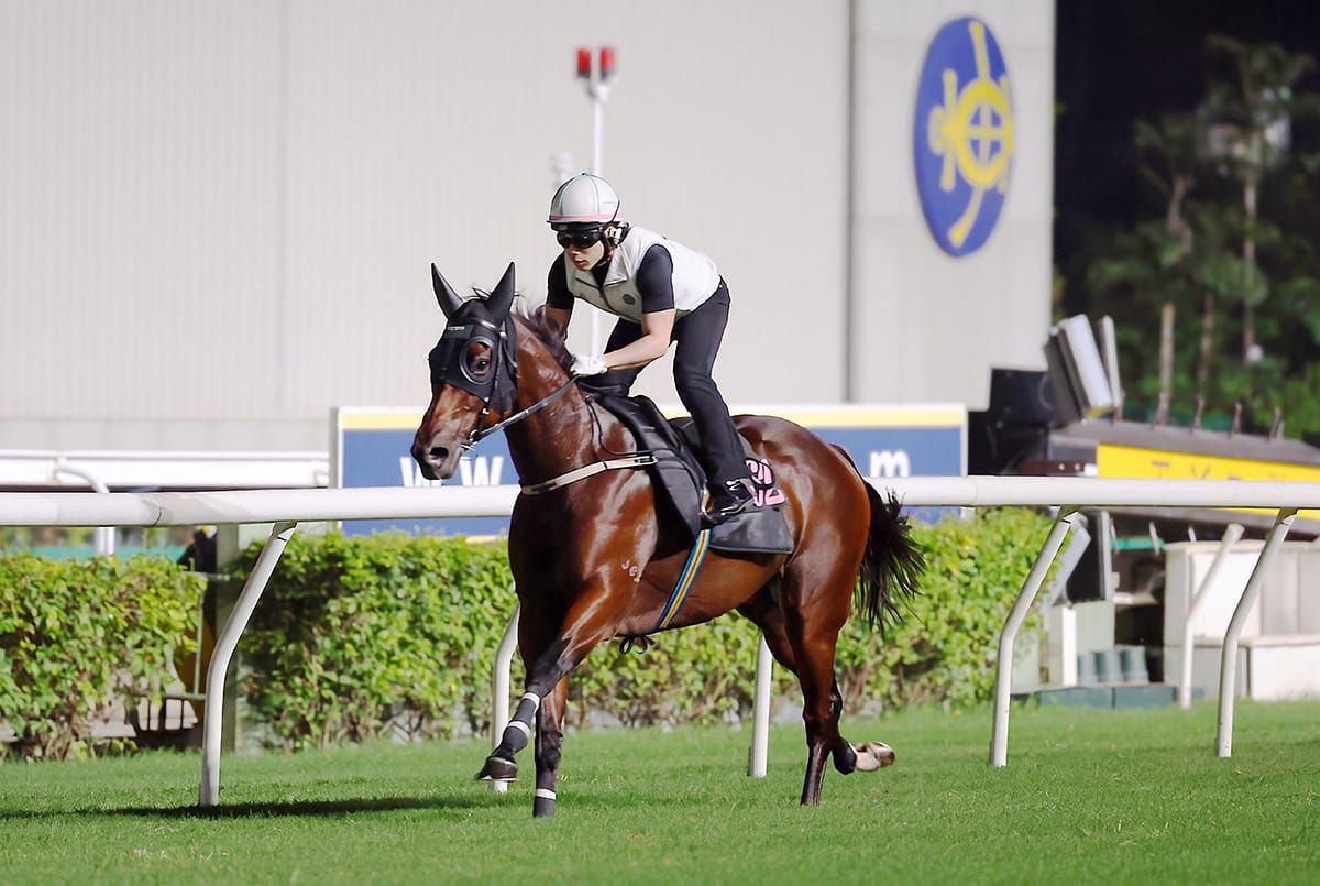Ka Ying Rising cruises through Sha Tin gallop ahead of travel to Australia