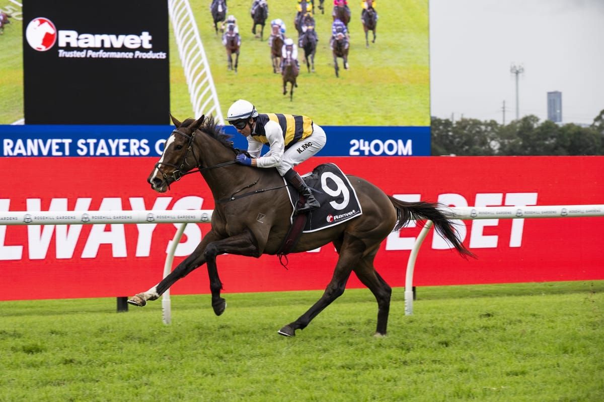 Cup blow for King Pedro as spring hangs by a thread